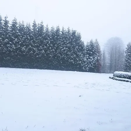 ベッド・アンド・ブレックファスト Wilcza Lapa