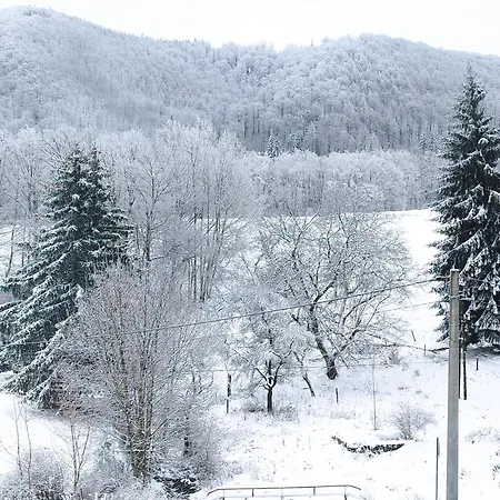 ベッド・アンド・ブレックファスト Wilcza Lapa 3*