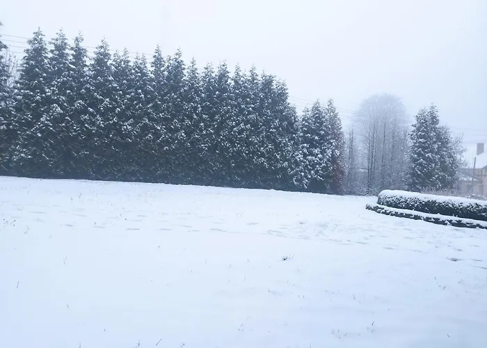 Bed & Breakfast Wilcza Lapa