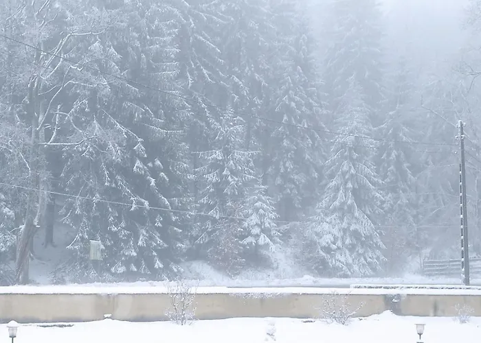 Bed & Breakfast Wilcza Lapa Pieszyce