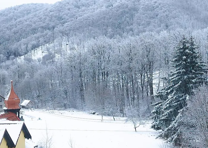 Wilcza Lapa Bed and breakfast 3*