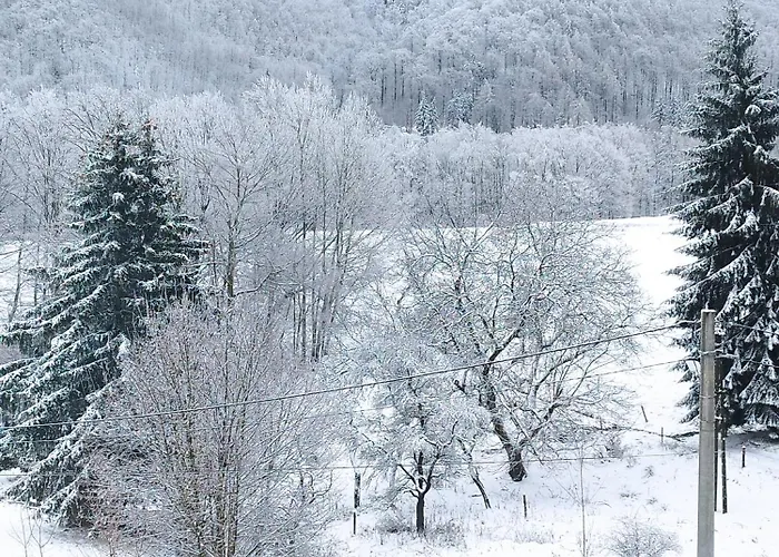 Bed & Breakfast Wilcza Lapa 3*